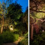 Ferns lit to create dramatic shadows in London garden