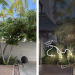 visual of which lighting was selected for multi-stemmed tree surrounding the swimming pool